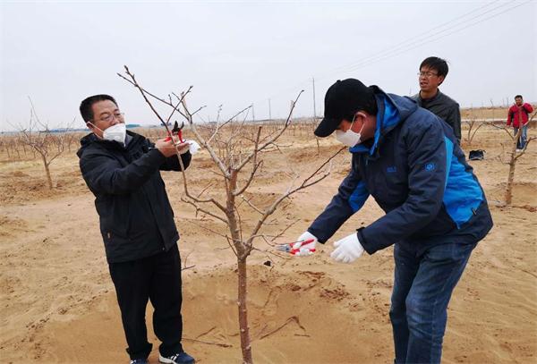 林业局人员传授剪枝技术_看图王.jpg